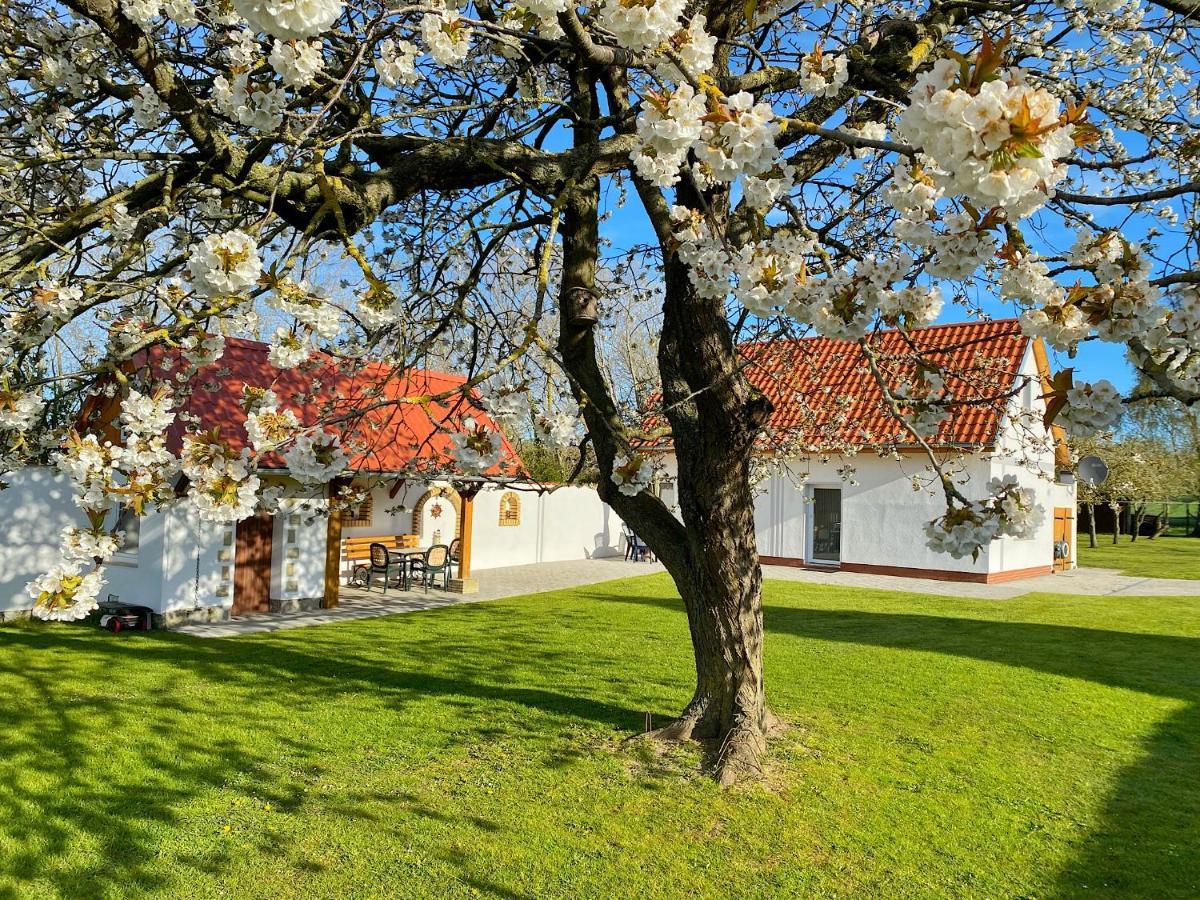 Ferienhaus Berta Sassnitz Bagian luar foto